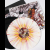 HIRAX Hate Fear and Power LP SPLATTER , PRE-ORDER [VINYL 12